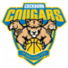 科伯恩美洲狮女篮logo