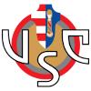 克雷莫纳logo